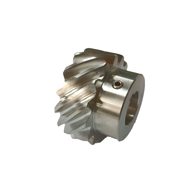 Stainless Steel Gear